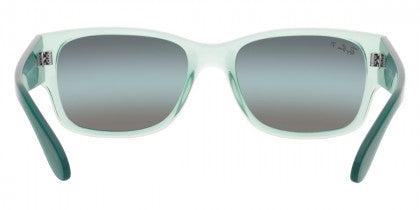 RB077 RAY-BAN RB4388 6646G6 58  TRANSPARENT GREEN / BLUE POLARIZED